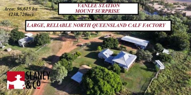 VANLEE STATION, MOUNT SURPRISE