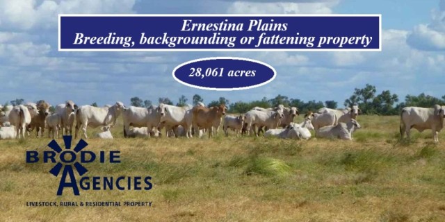 Ernestina Plains