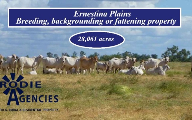Ernestina Plains