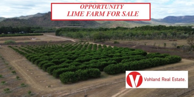 Mixed Farming - Dimbulah QLD