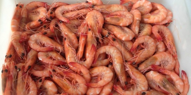 WHAT PRICE WOULD YOU PAY FOR PRAWNS.