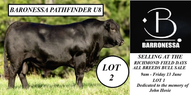 Barronessa Farming  Selling at Richmond 