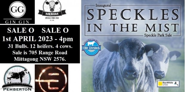 Speckles in the Mist  Inaugural Sale  1st April 2023