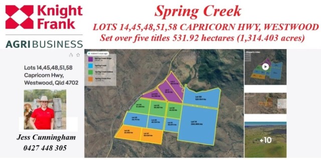 Spring Creek 
