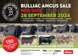 Bulliac Angus Sale 2024  