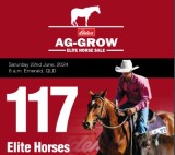  Elders Ag-Grow Elite Horse Sale 2024