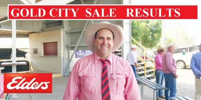 GOLD CITY 2021 SALE RESULTS 