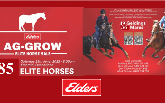 AG-GROW ELITE HORSE SALE 2022..