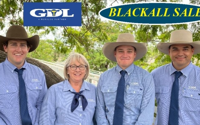 BLACKALL SALE