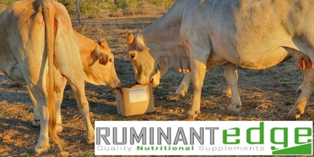 Ruminant Edge Nutrition Lick Blocks