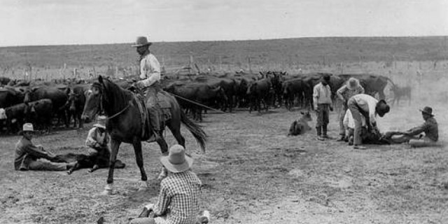 City played a role in Old West cattle drives