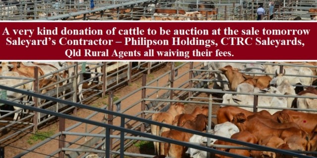 A very kind donation of cattle to be auctioned  
