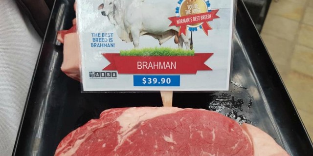 Brahman meat wins the Norman Hotels Best Breed 