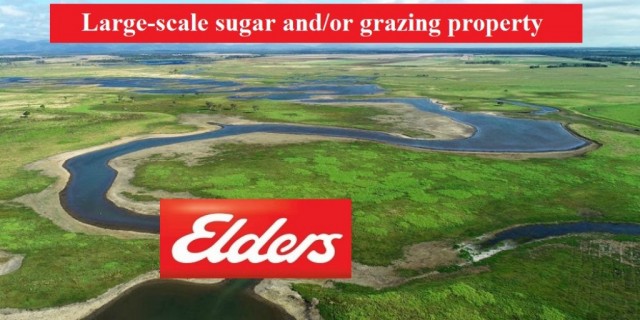 Large-scale sugar and/or grazing property 