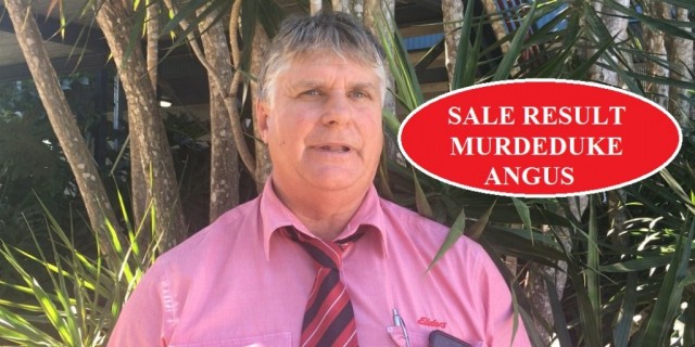 Murdeduke Angus  Sale Results 