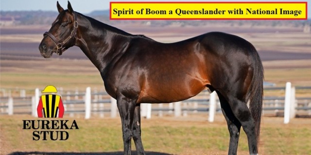 Spirit of Boom a Queenslander with national image