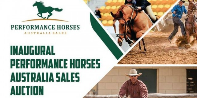 Performance Horses Australia Sales Auction