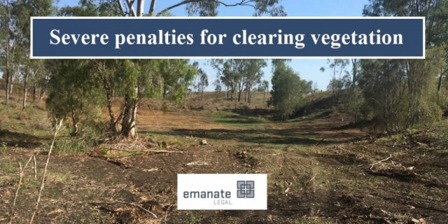 Severe penalties for clearing vegetation