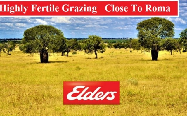Highly Fertile Grazing Close To Roma
