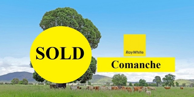 Comanche SOLD SOLD SOLD 