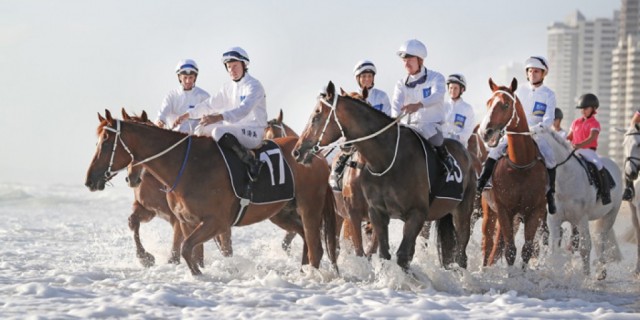 Son of unwanted mare pioneered Gold Coast excellence.