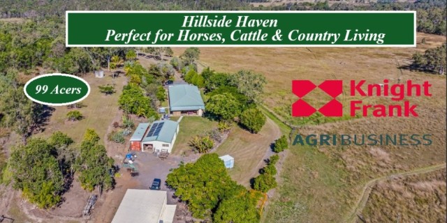 Hillside Haven 