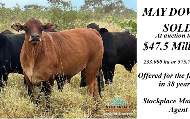 May Downs Sold at auction 