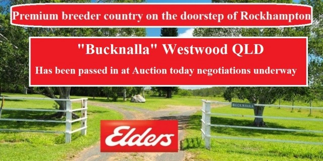 "Bucknalla" Westwood QLD