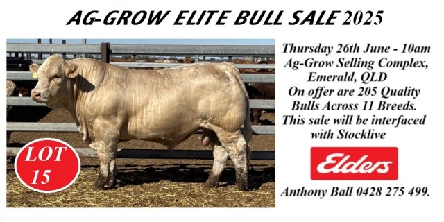 Ag-Grow Elite Bull Sale 2025