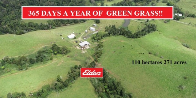 365 DAYS A YEAR OF GREEN GRASS