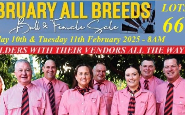 FEBRUARY ALL BREEDS BULL & FEMALE SALE 2025