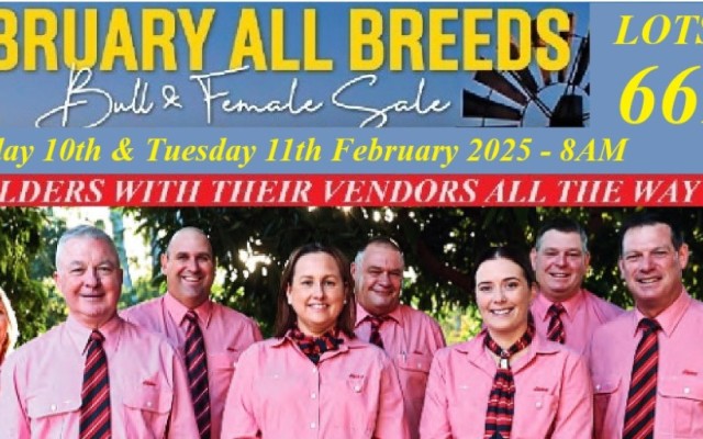 February All Breeds Bull & Female Sale 2025