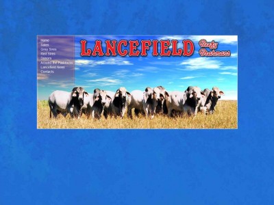 Lancefield Brahmans