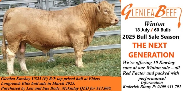 Glenlea Beef  Charolais Bull Sale Winton 