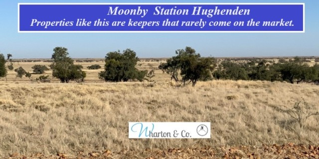 Moonby Station: Hughenden