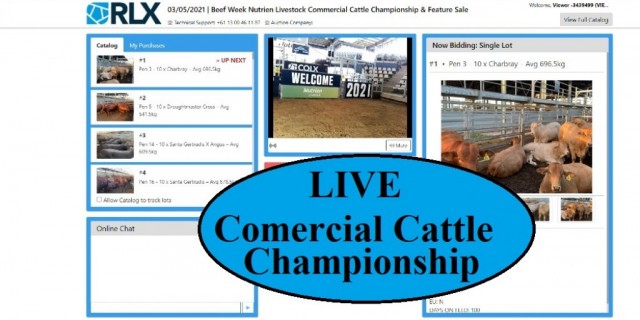 The Nutrien Livestock Commercial Cattle Competition