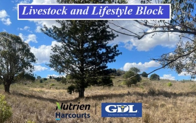 Livestock and Lifestyle Block