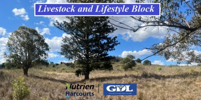 Livestock and Lifestyle Block