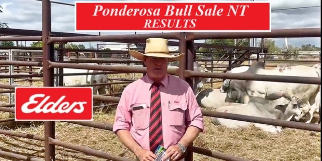 24th  ANNUAL PONDEROSA INVITATIONAL BULL SALE