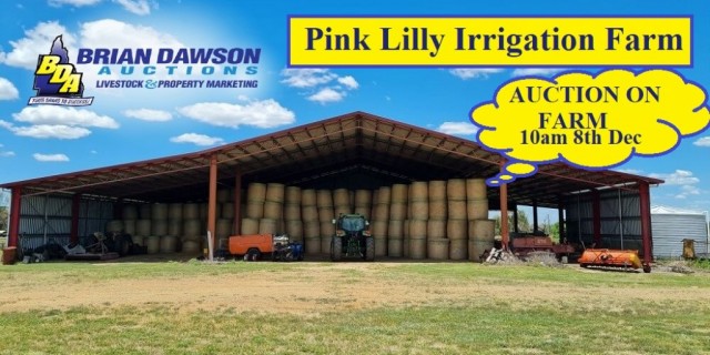 Pink Lilly Irrigation Farm 