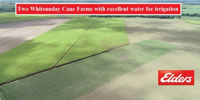 Two Whitsunday Cane Farms with excellent water for irrigation..