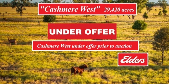 Cashmere West.