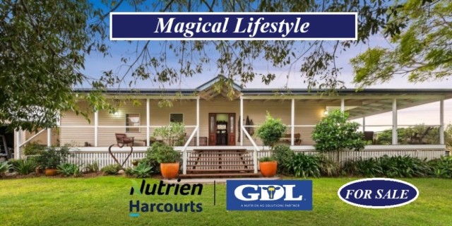 Magical Lifestyle
