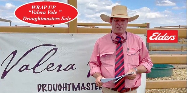 Valera Vale 2024 Droughtmasters Sale