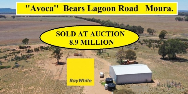 'Avoca' -  Moura  Sold at Auction