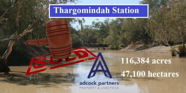 Thargomindah Station 