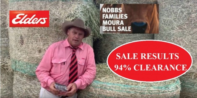 RESULTS  (Nobbs Families Moura Bull Sale)