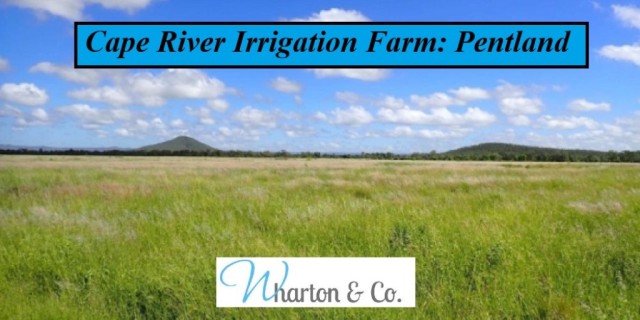 Cape River Irrigation Farm  