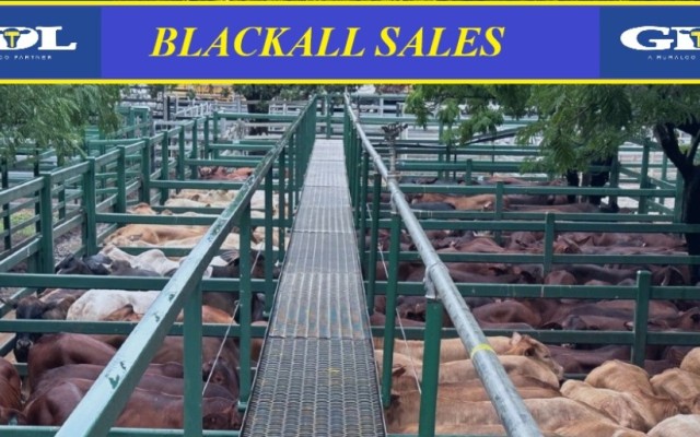 BLACKALL SALE