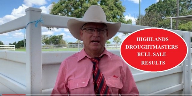 Highlands Droughtmaster Bull Sale, Clermont